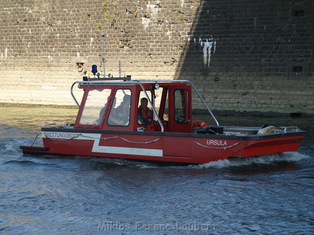Einsatz Loeschboote Hoehenretter Koeln unter Severinsbruecke P211.JPG